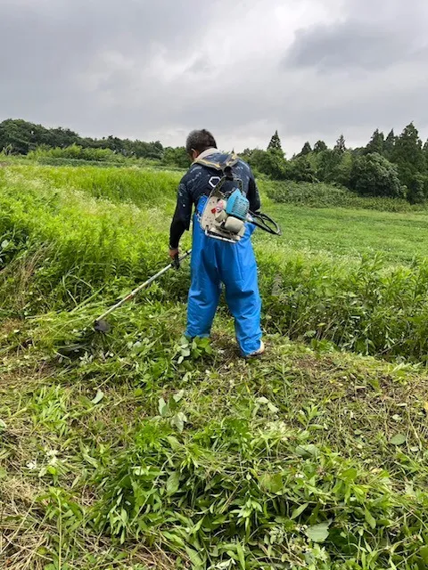 草刈り作業を行いました